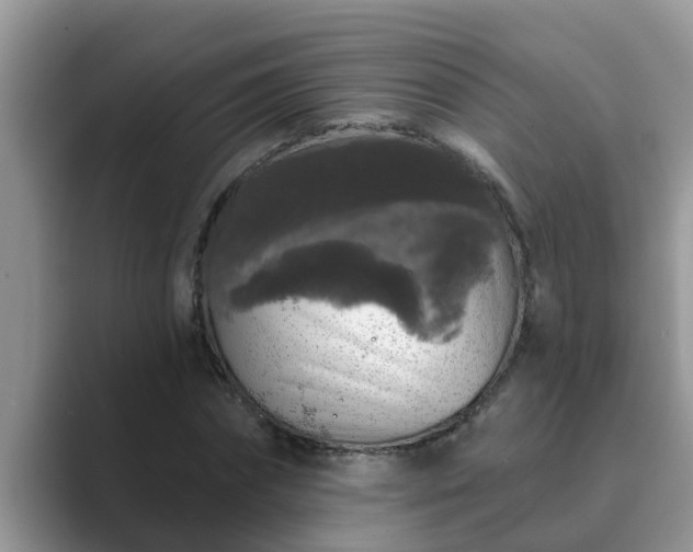 X0000089880874200707051208