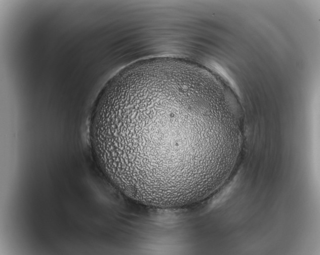 X0000089880875200707051208