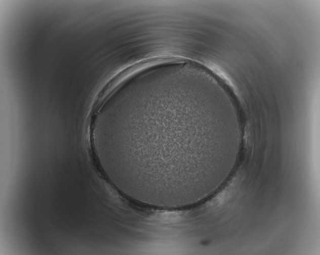 X0000089880877200707051208