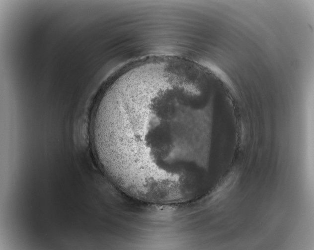 X0000089880878200707051208