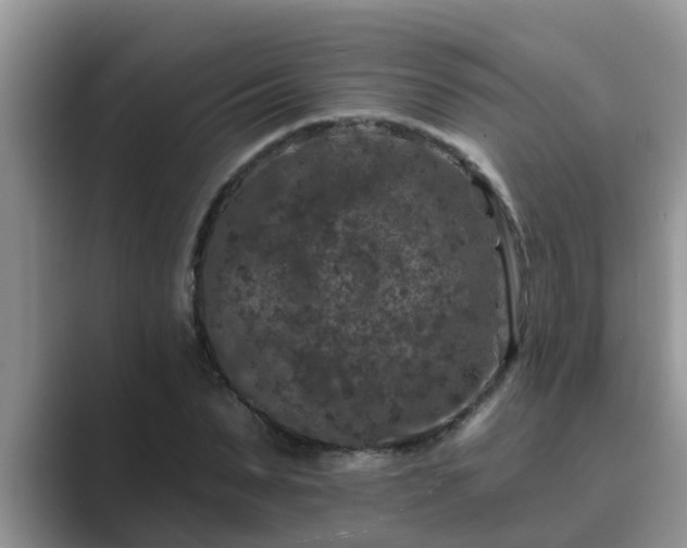 X0000089880879200707051208