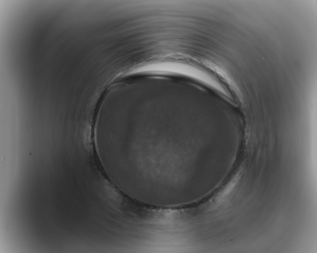 X0000089880881200707051208