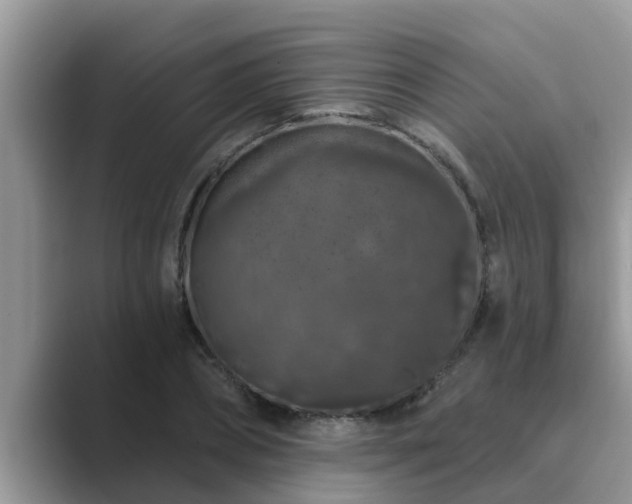 X0000089880882200707051208