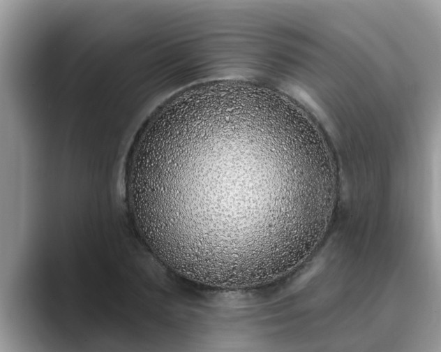 X0000089880883200707051208