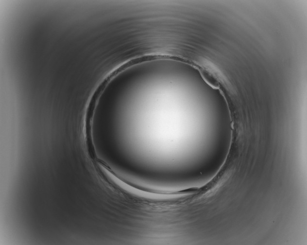 X0000089880884200707051208