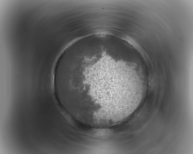 X0000089880886200707051208