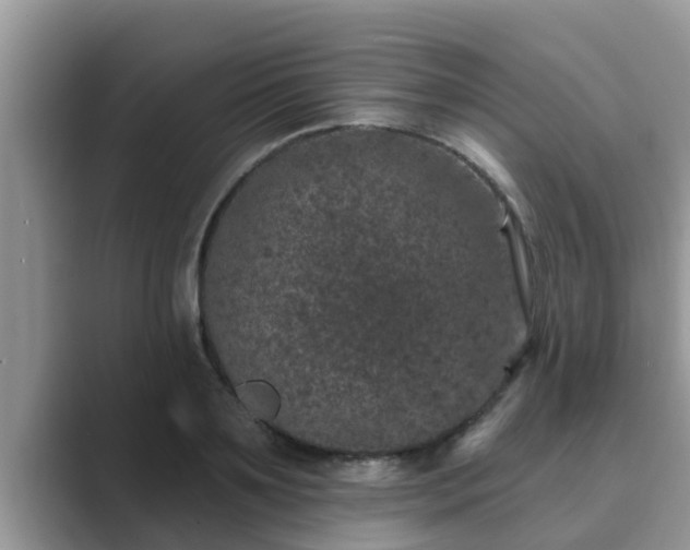 X0000089880891200707051208