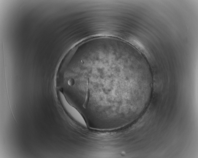 X0000089880892200707051208