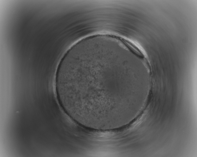 X0000089880895200707051208