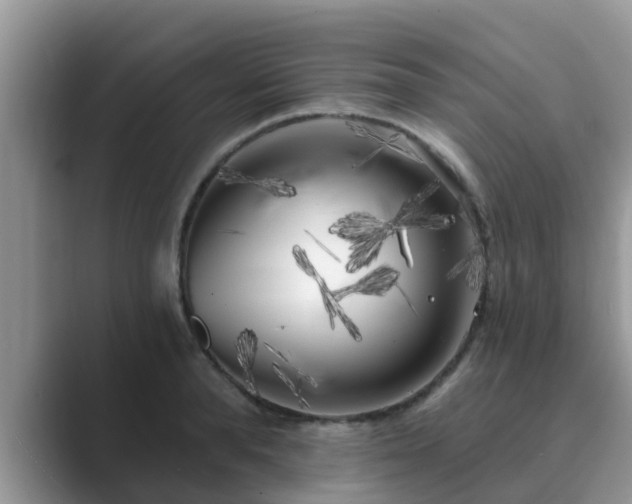 X0000089880896200707051208