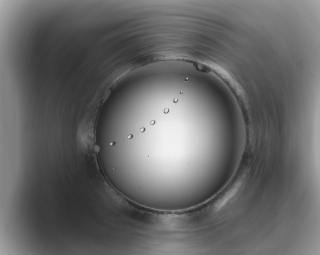 X0000089880897200707051208