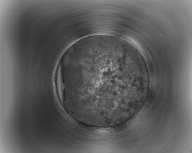 X0000089880899200707051208