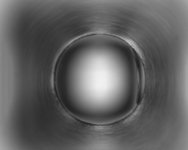 X0000089880904200707051208