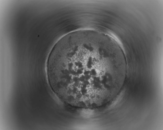 X0000089880907200707051208