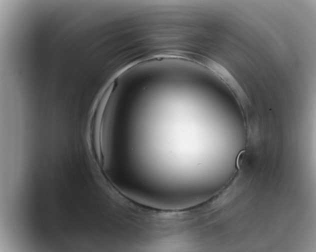 X0000089880908200707051208