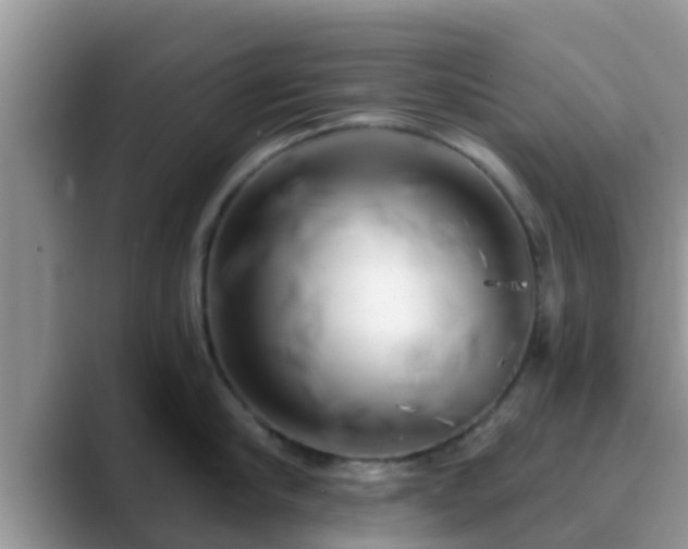 X0000089880910200707051208