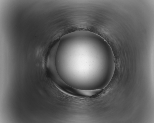 X0000089880916200707051207