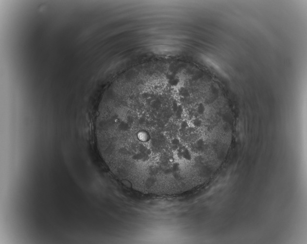 X0000089880917200707051207