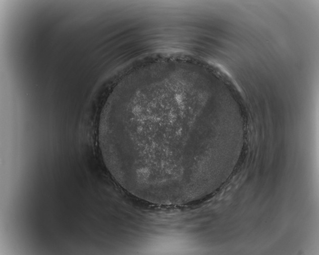 X0000089880919200707051207