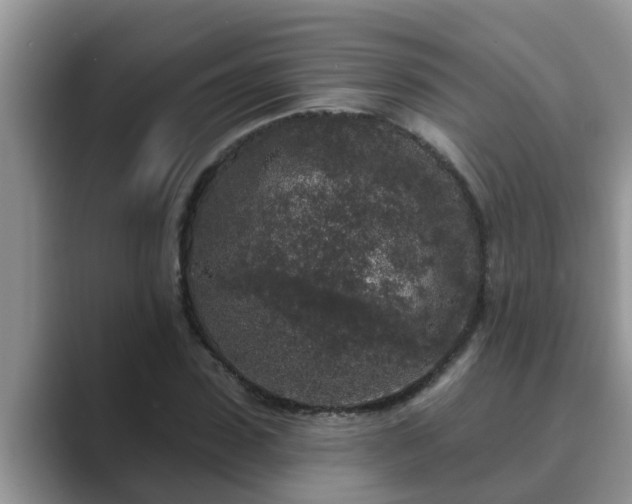 X0000089880923200707051207