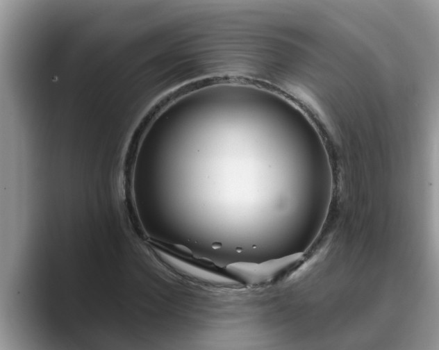 X0000089880924200707051207