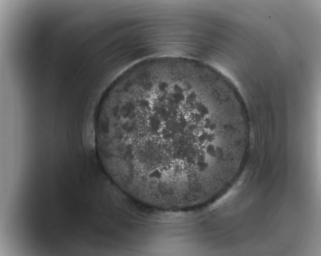 X0000089880925200707051207