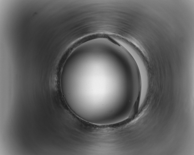 X0000089880926200707051207