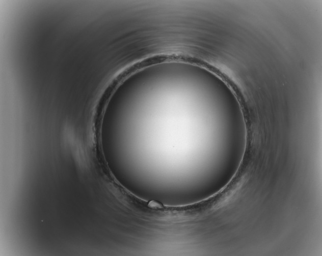 X0000089880927200707051207