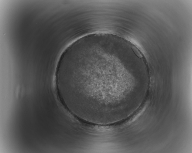 X0000089880928200707051207