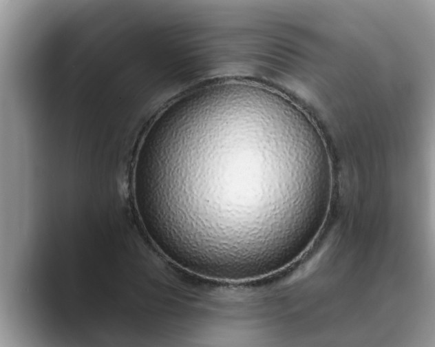 X0000089880929200707051207