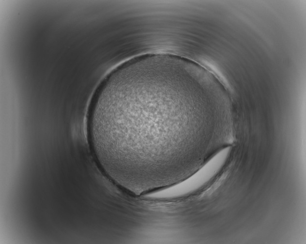 X0000089880932200707051207