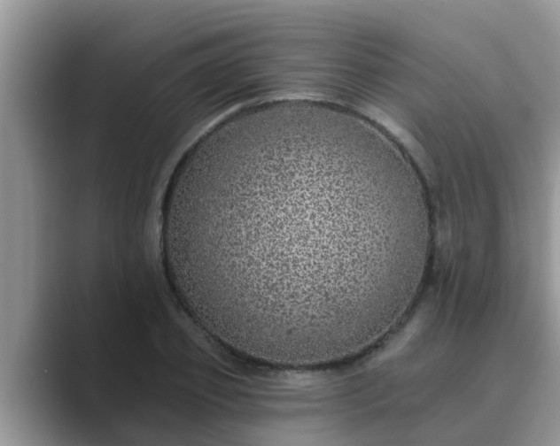 X0000089880933200707051207