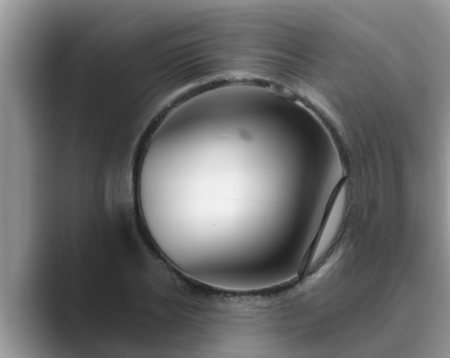 X0000089880934200707051207