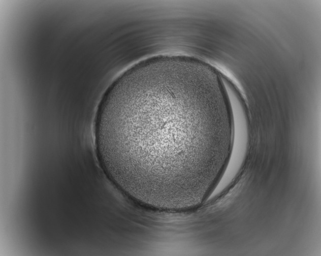X0000089880935200707051207