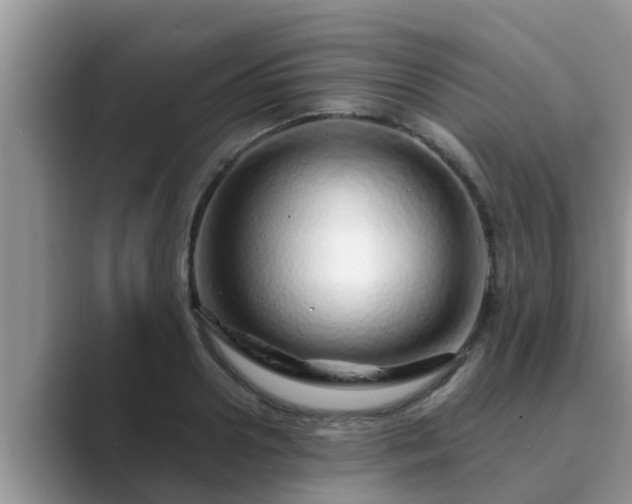 X0000089880938200707051207