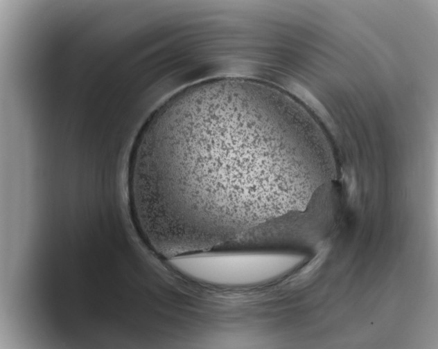 X0000089880939200707051207