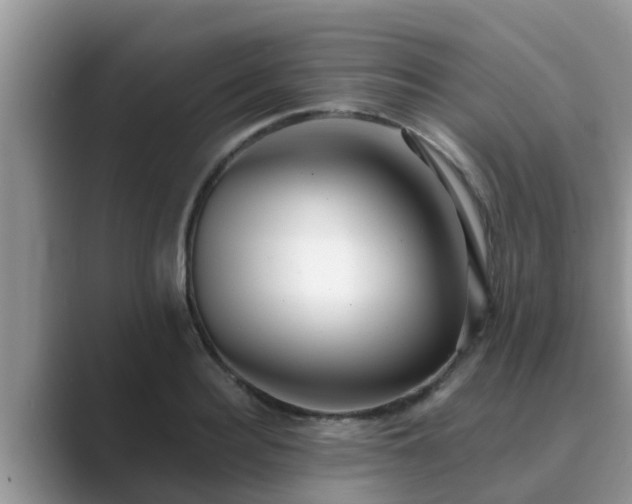 X0000089880940200707051207