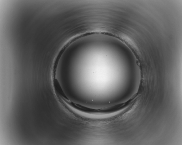 X0000089880942200707051207