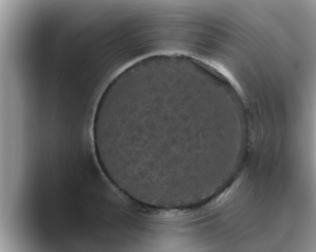 X0000089880943200707051207