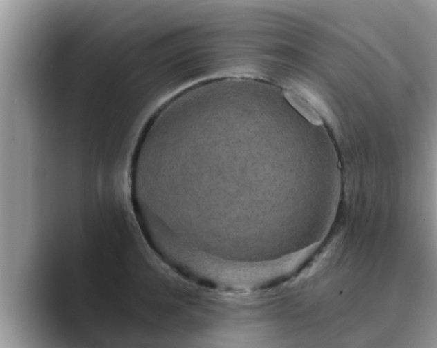 X0000089880944200707051207