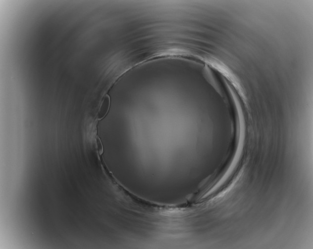 X0000089880945200707051207