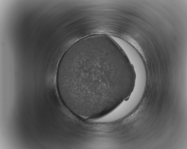 X0000089880946200707051207