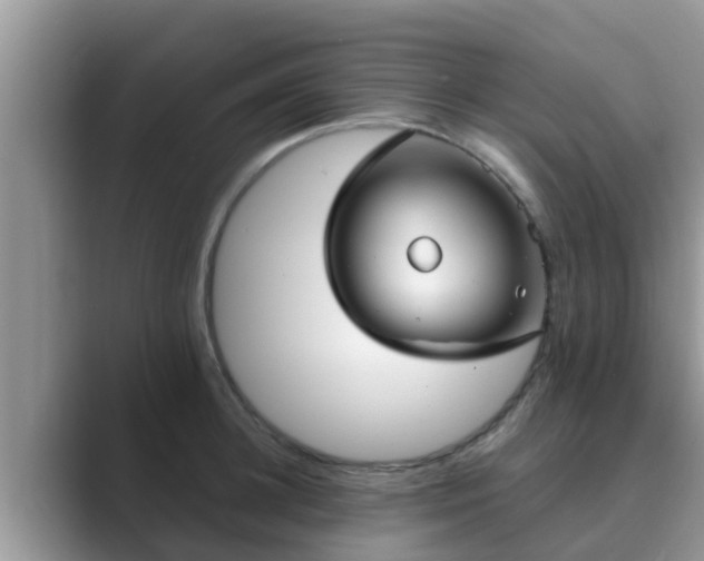 X0000089880948200707051207