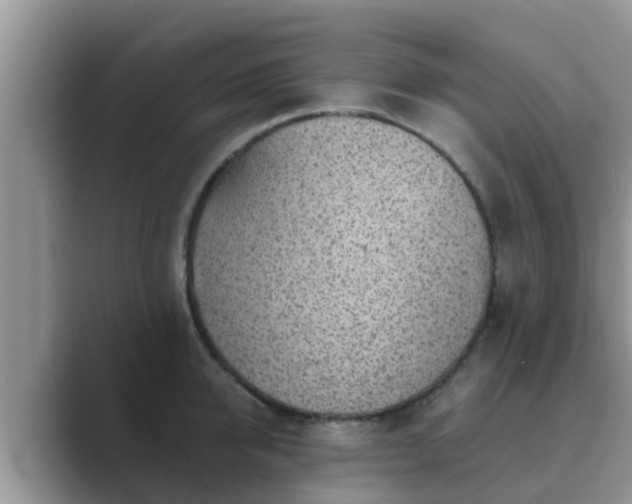 X0000089880950200707051207