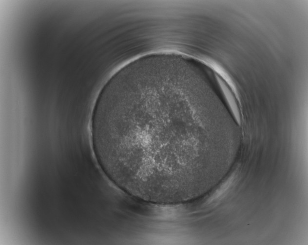 X0000089880951200707051207