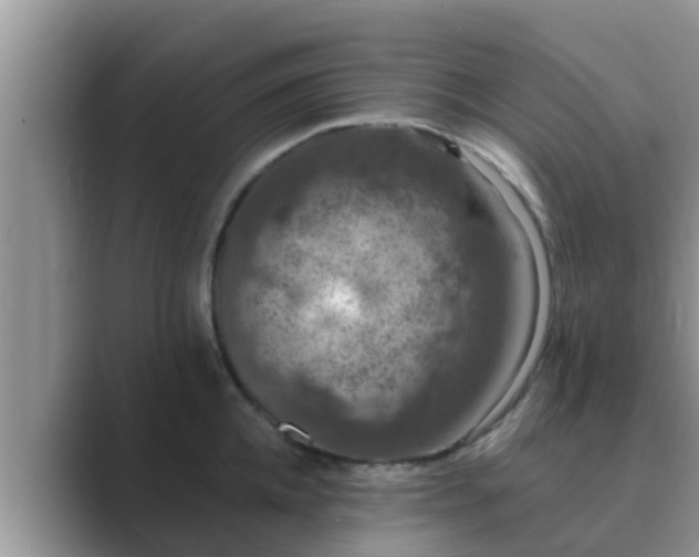 X0000089880952200707051207