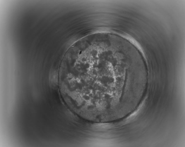 X0000089880953200707051208