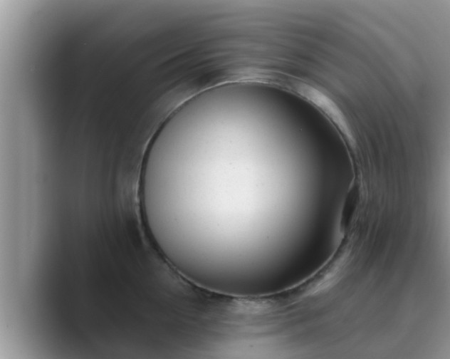 X0000089880954200707051208