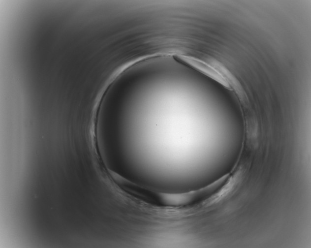 X0000089880956200707051208