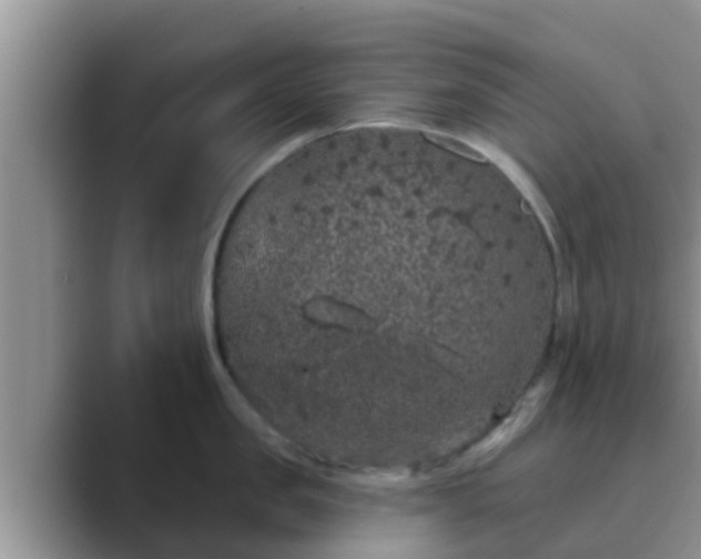 X0000089880957200707051208